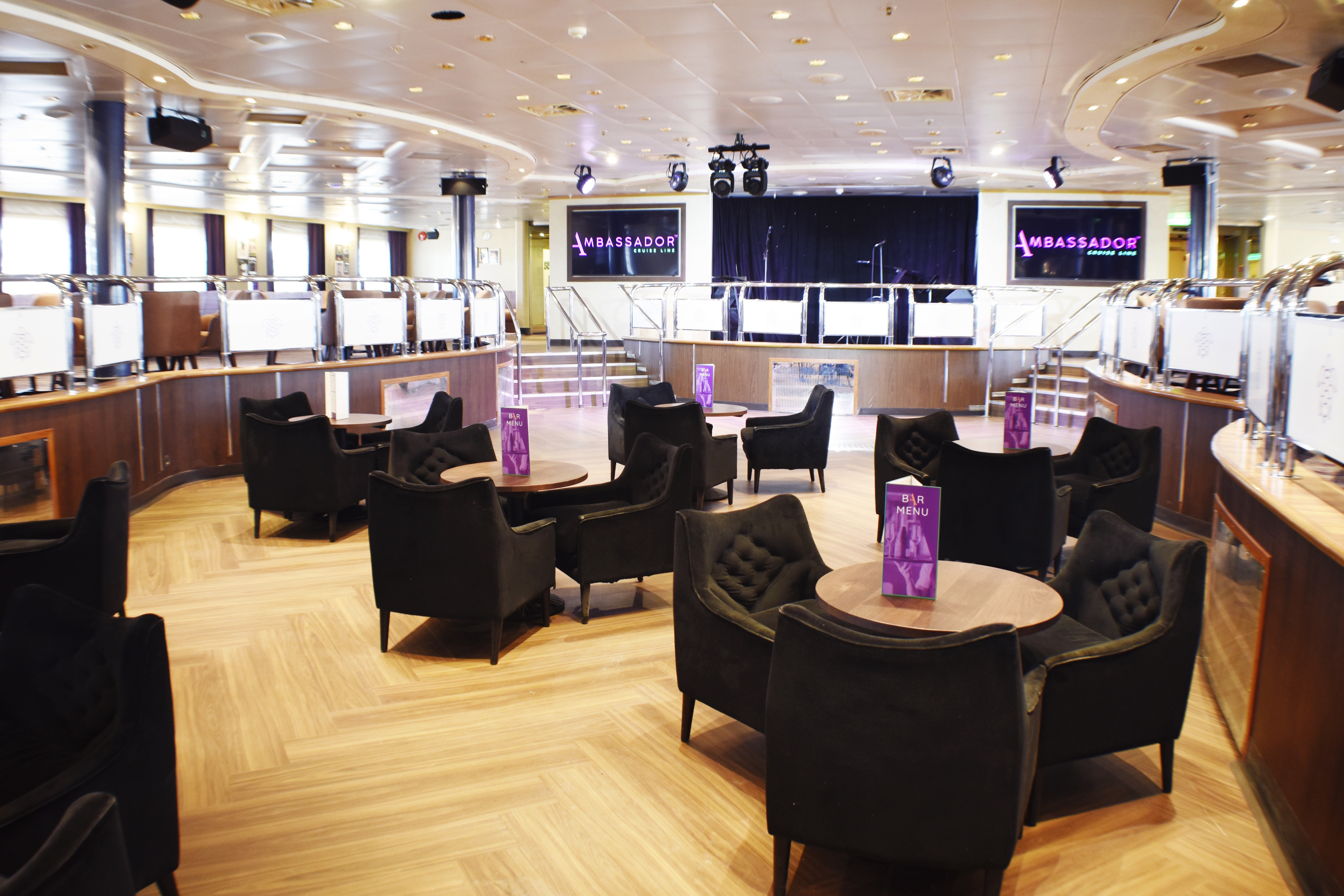 Ambience - Purple Turtle